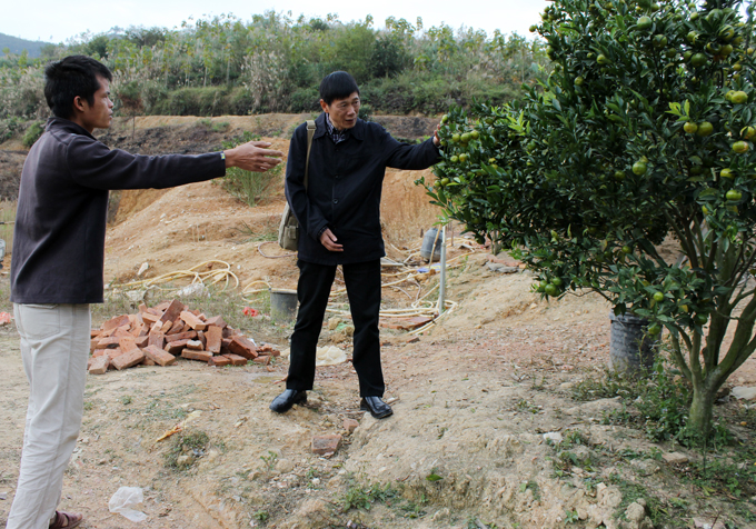 高仁泽书记向村民了解桔子种植和销售情况